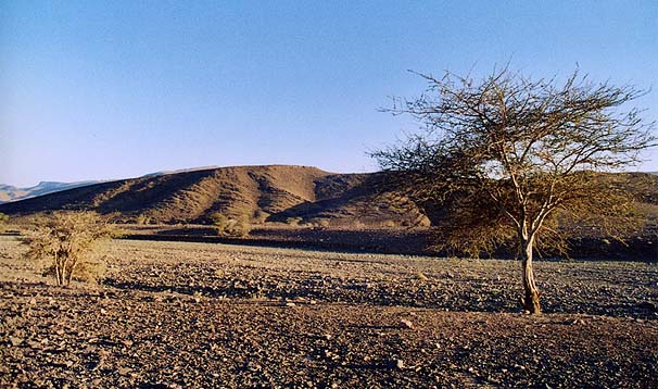 22-ouarzazate-zagora