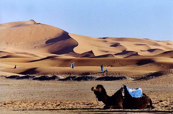 19-merzouga