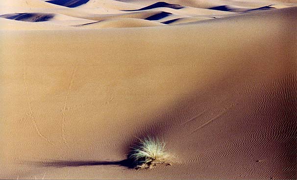 20-merzouga