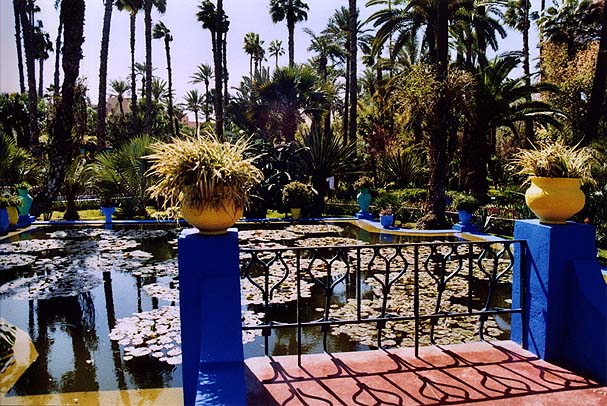 08-majorelle