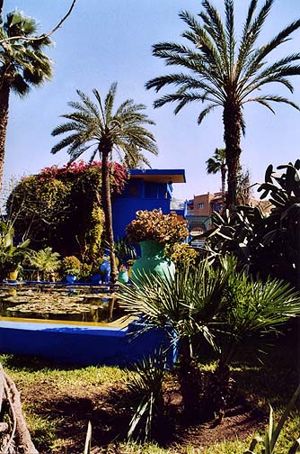 09-majorelle