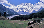 Nanga Parbat, Fairy Meadows