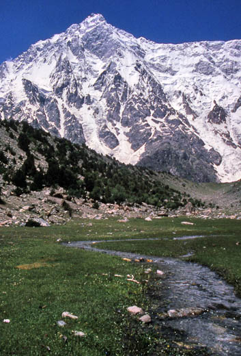 rupal074