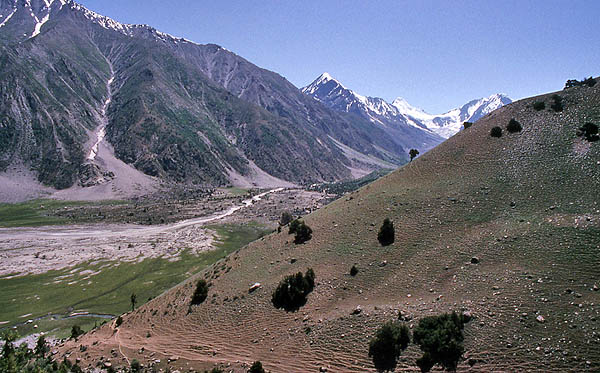 rupal075