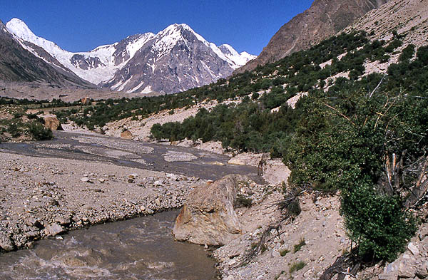 rupal078