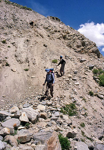 rupal081